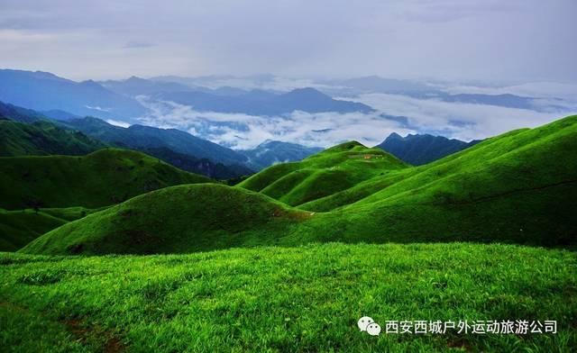 太和县“四名”发力“乡村著名”行动