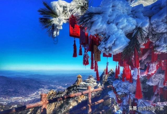 猫猫冒险团